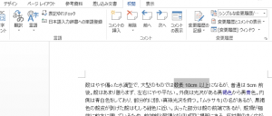 Word_コメント_1