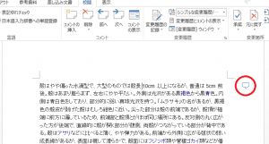 Word_コメント_3