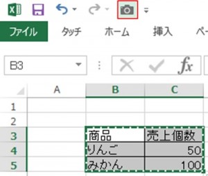 エクセル_カメラ_3