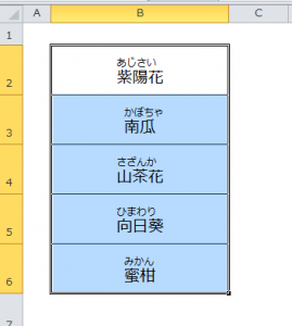 Excel_ふりがな_5