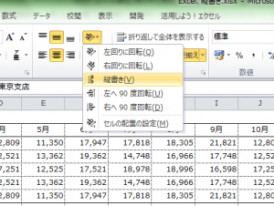 Excel_縦書き_3