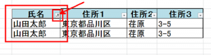 エクセル_オートフィルタ_5
