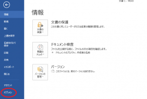 ワード_上書き_2