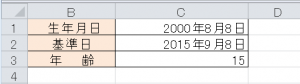 エクセル_年齢_4
