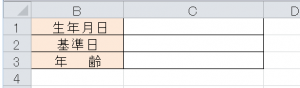 エクセル_年齢_1