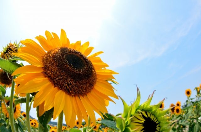 ポジティブになる方法5選