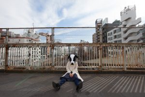 ネガティブを克服する5つの習慣